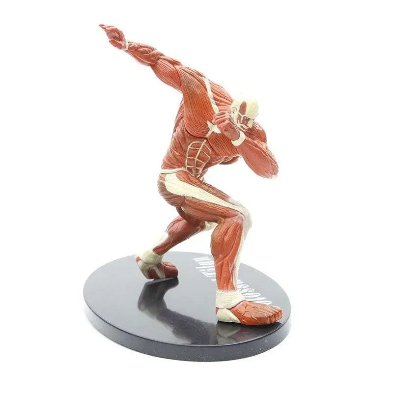Action Figure Titano colossale - Attack on Titan™