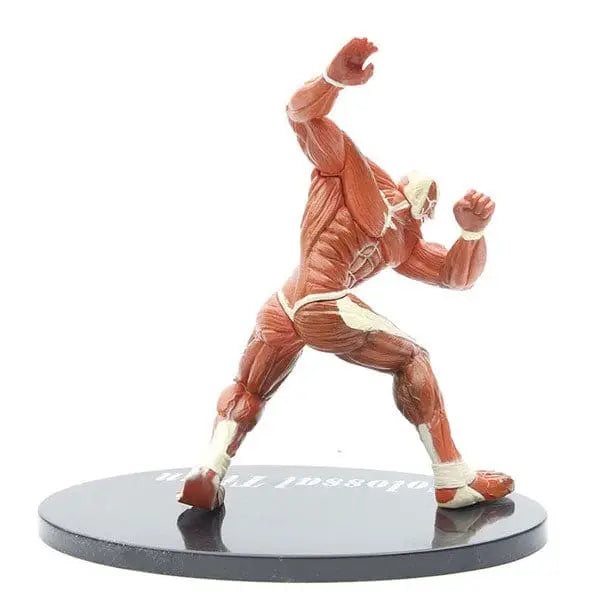 Action Figure Titano colossale - Attack on Titan™