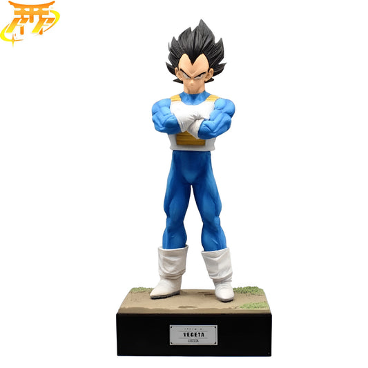 Action Figure Principe Vegeta - Dragon Ball Z™
