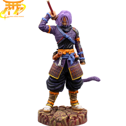 Action Figure Costume da Miraï - Dragon Ball Z™