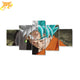 Goku x Quadro nera - Dragon Ball Z™