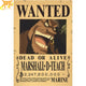 Poster Wanted Barbanera - One Piece™